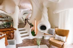 The Bloomhouse - Image 2